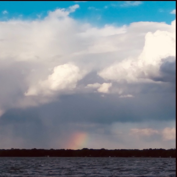 ⚜️ Vintage Needlepoint Victorian Green Pillow Luxurious - Picture 12 of 16